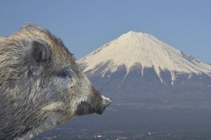 北東＋六白金星は「猪突猛進」の吉方位！北東＋六白金星の効果と注意点